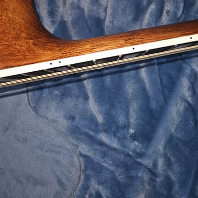 D'Angelico Premier Fulton 12-String Grand Auditorium 2020 - Vintage Natural image 6