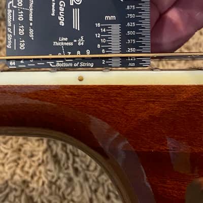 Daion Year Series '81 Gazelle / 12 String Electric Acoustic image 25