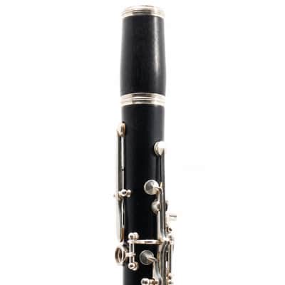 Buffet Crampon R13 Professional Bb Clarinet in Grenadilla SN F499157 image 11