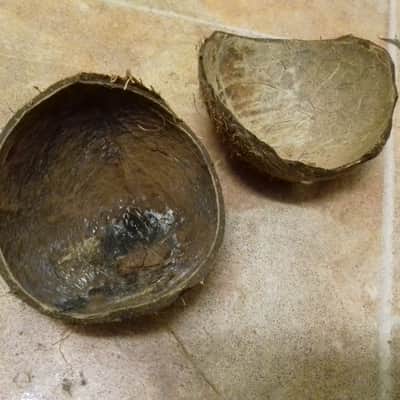 Natural 'Ethnic' Percussion instrument image 1
