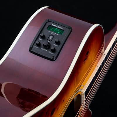 Washburn Electro Acoustic Guitar BURL ACE - Grand Auditorium - Amber Fade image 6