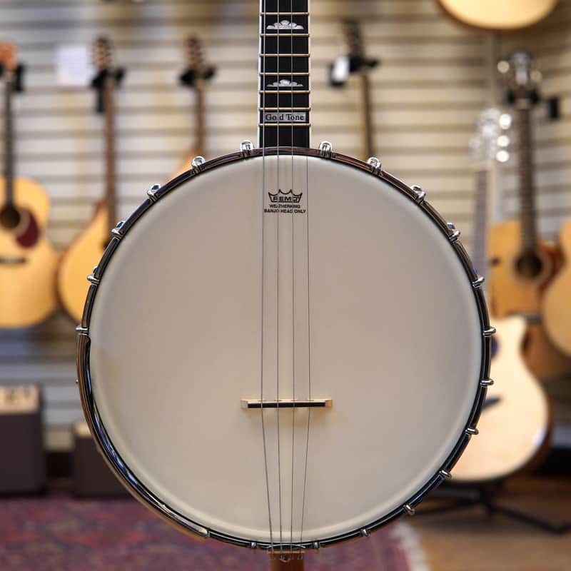 Gold Tone IT-250 11" Irish Tenor Banjo w/Hard Case image 1