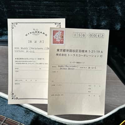 King Snake Muddy Thinline Archtop Poison Burst High-End Made in Japan image 3