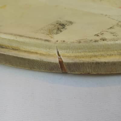 Leedy 24" Calf Skin Bass Drum Head Vintage 30s Batter/Resonant Kick Calfskin US image 3
