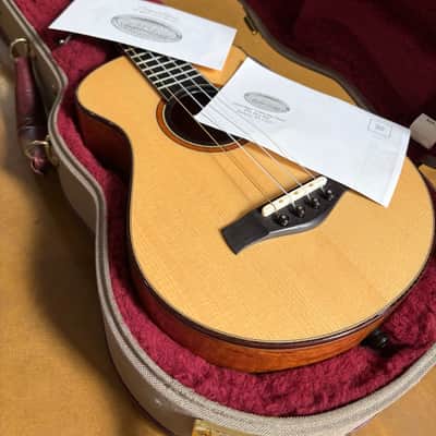 Hive Hornet Tenor Ukulele #13015 – Spruce / Mahogany – Gold Waverly Tuners – Ameritage Case image 15
