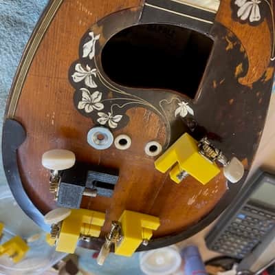 Calace Mandolin 1905 - Natural image 11