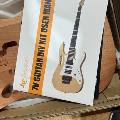 Open Box Leo Jaymz S V Style Electric Guitar DIY Project Kit Leo Jaymz image 6