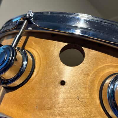 DW Collector's Series Maple 5x14" Snare Drum image 5