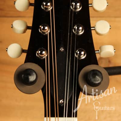 Collings MT Mandolin Gloss Torrefied Sitka Top w/ Ivoroid Bindings image 4