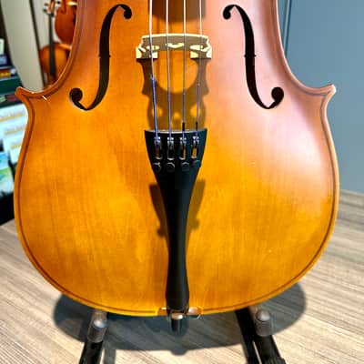STUDENT CELLO: 1/2 Cello - Strumenti a Corde 105 2018 - Matte image 7