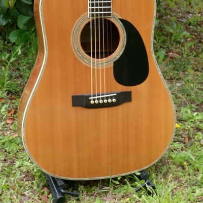 1975 Yairi YW-600 Dreadnought Guitar New Jacaranda Natural+Vintage Flight Case image 2
