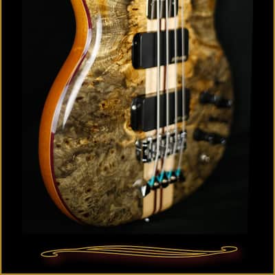 Alembic Stanley Clarke Deluxe in Buckeye Burl with Side LEDs Natural image 2