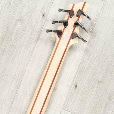 Ibanez BTB606 BTB Standard 6-String Bass, Rosewood Fretboard, Transparent Gray Flat image 9