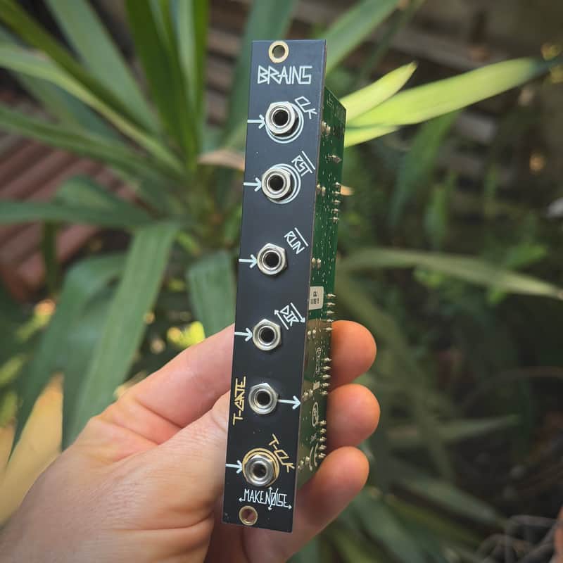 Make Noise Brains