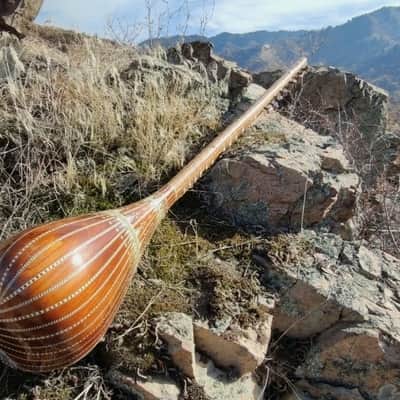 Sattar. Uyghur musical instrument Uyghur musical instrument 1990 image 9