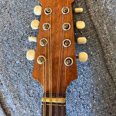 Late 60s Carmelo Catania Vintage Mandolin image 7