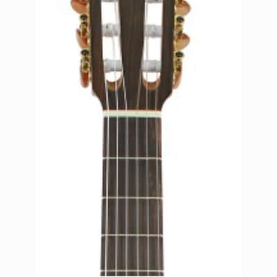 Kremona Sofia S63CW | Acoustic / Electric Classical Guitar with Fishman. New with Full Warranty! image 4