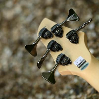 Dingwall NG2 Adam "Nolly" Getgood Signature 5 String - Matte Celestial Blue image 10