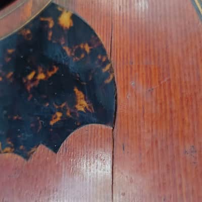 Rare Schwarzer Model 120 "Echo" bowl back mandolin Circa 1900 image 12