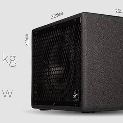 Udo Roesner Da Capo 75 Acoustic Guitar Amp Amplifier 75W Combo 220V image 4