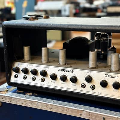 Strauss Minuet Valve PA Head image 4
