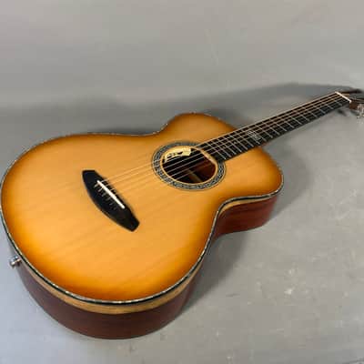 Breedlove Legacy Concertina Natural Shadow E 2018 image 8