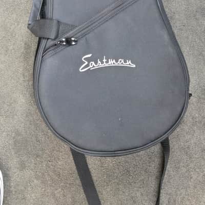 Eastman MD315 F-Style Mandolin w/ Gig Bag image 11