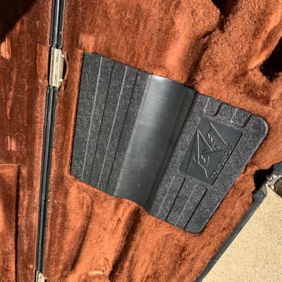 Peavey T-40 1980s Contour Bass Case image 3