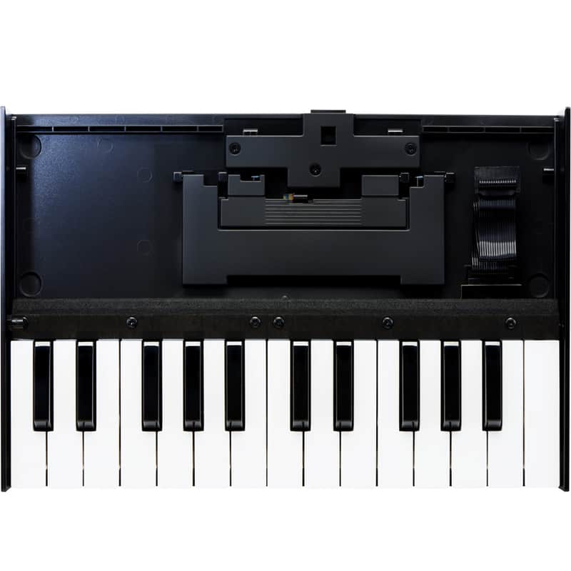 Roland K-25m Boutique Series 25-Key Portable Keyboard | Reverb