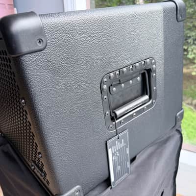 Mesa TT-800 and Subway 1x15 + 1x12 rig (NYC) image 19