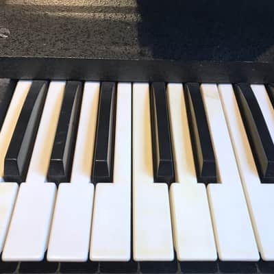 RMI Electra-Piano 368x image 4