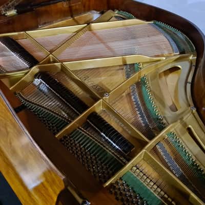 Restored Bechstein London Baby Grand Piano Walnut SP25940 - Sherwood Phoenix Pianos image 7