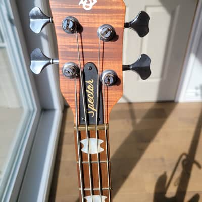 Spector Euro 4 RST 2023 - Sienna Stain matte image 4