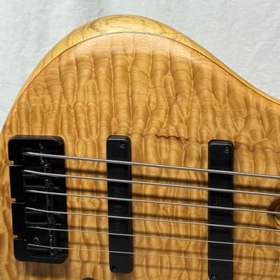Roscoe Century Standard Plus 6L vi 6-string Bass image 3