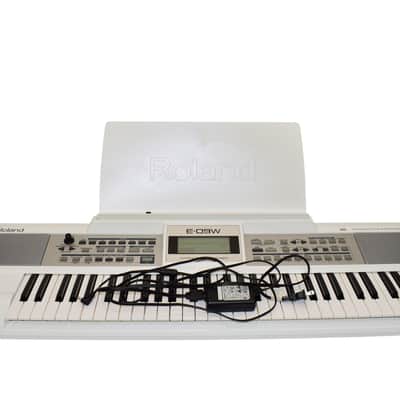 Roland E-09W 61-Key Interactive Arranger Keyboard, White
