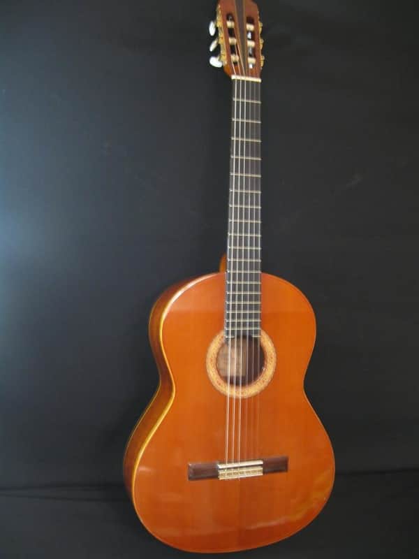 Alvarez Yairi CY116 Burled Mahogany/Cedar Top image 1