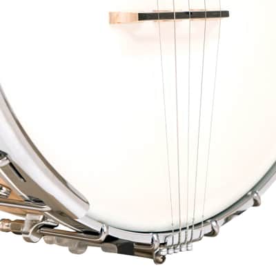 Gold Tone MM-150LN Maple Mountain Openback Long Neck Banjo with Case image 3