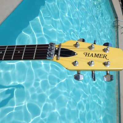 Hamer Vector 1981 Yellow V OHSC Tags image 15