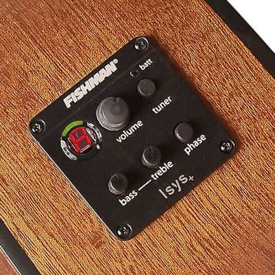 richwood  b 20 e  chitarra elettrificata acu... image 2