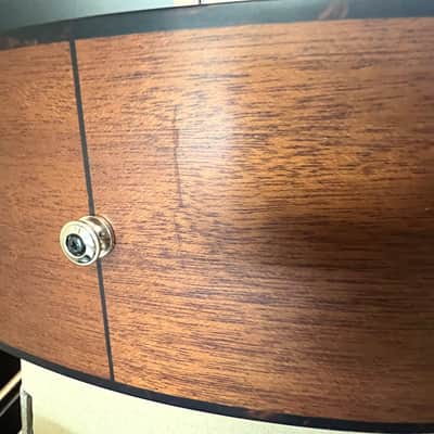 Furch Green Baritone BARc-SM with bag image 10