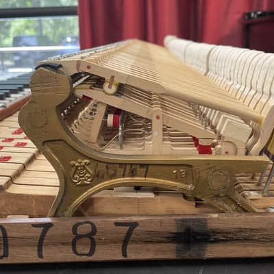 Steinway Model B 6'11" Grand Piano 1888 (Restored) - Satin Brazilian Rosewood image 21
