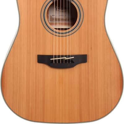 Takamine GD20CE Dreadnought Acoustic-Electric Guitar, Solid Cedar Top image 1