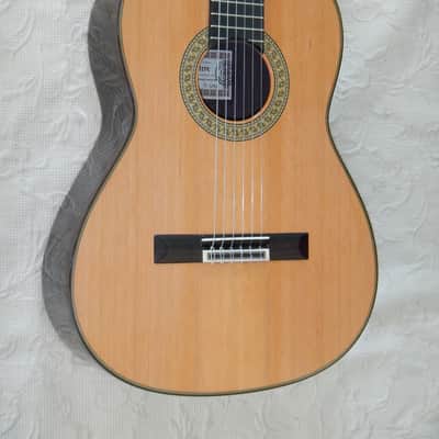 Esteve 7SR 640 short scale classical guitar/all solid wood/cedar top image 1