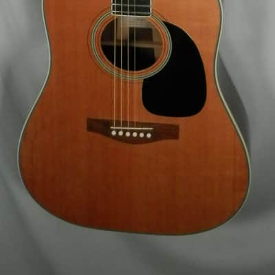 A LoPrinzi LR-20 Dreadnought Acoustic Guitar with case used image 8