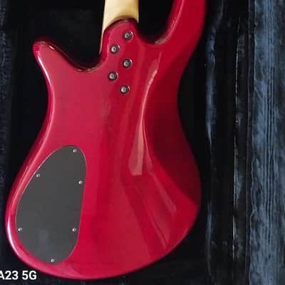 Spector Pro Q4 Made in Korea 2000's Era image 3