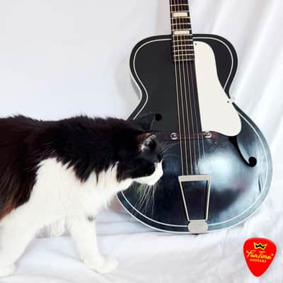 1960s Silvertone 658 “Tuxedo” Archtop Acoustic Guitar by Kay – “The Wolf” image 19