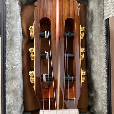 SAERS A50 Lattice - 2024, Up Grade Back & Side Cocobolo image 7