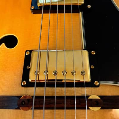VV: IMMACULATE Peerless Journeyman Jazz archtop guitar, true hollow, OHSC, ALL SOLID--best of its kind under $3500, STEAL image 5