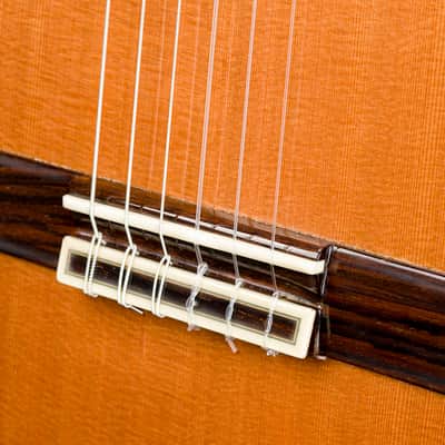 Classical guitar Manuel Raimundo 180 (2020) image 10