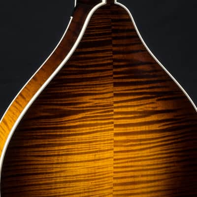 Collings MT2 Mandola Sunburst Adirondack Spruce and Flamed Maple NEW image 18